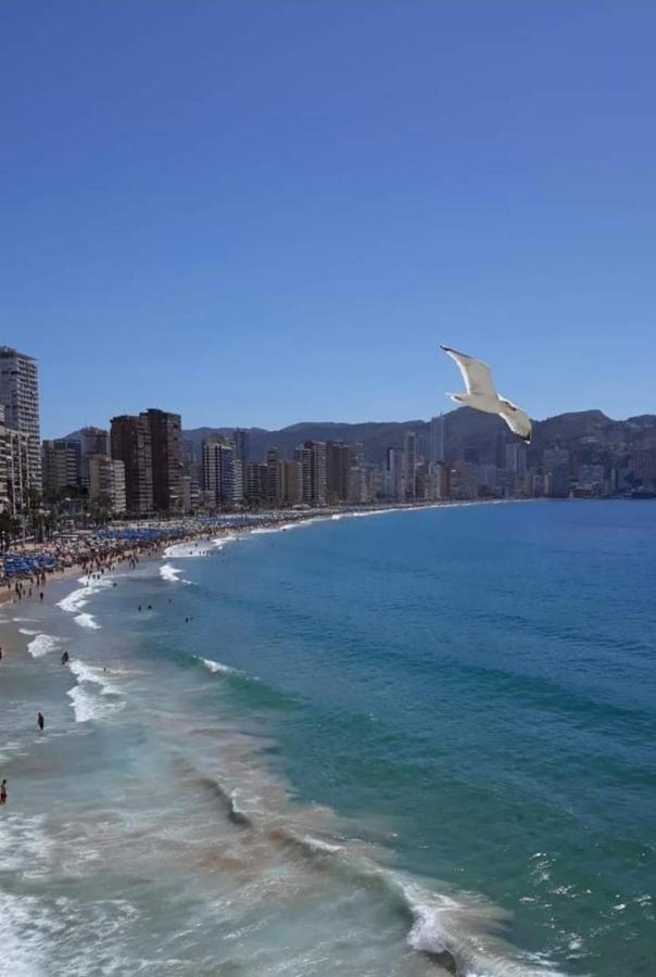 San Remo Levante Beach Apartments Μπένιντορμ Εξωτερικό φωτογραφία